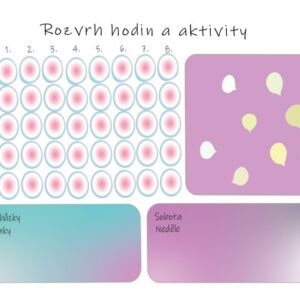Rozvrh hodin a aktivity